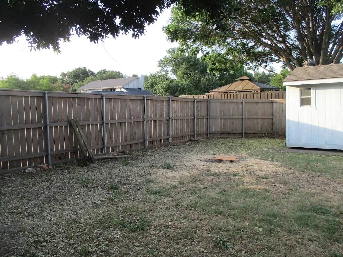 Cleared yard after professional tree removal in Rising Sun